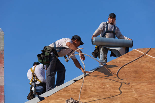 Best Best Roofing Contractors  in Manton, MI