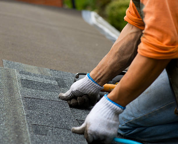 Best New Roof Installation  in Manton, MI