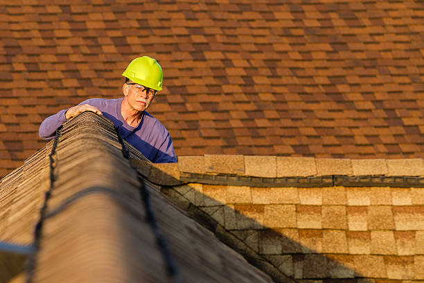 Best Local Roofing Companies  in Manton, MI