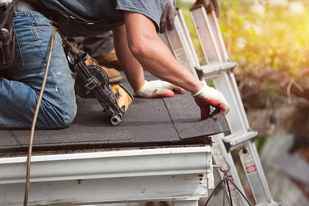 Best Roof Restoration Services  in Manton, MI